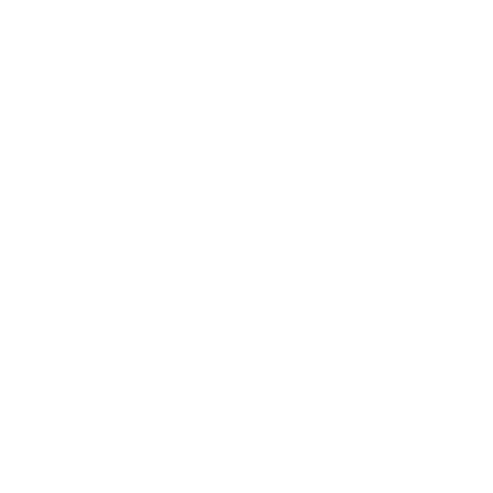 Villeroy & Boch-1
